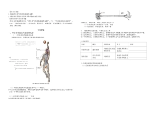 神经调节导学案-1