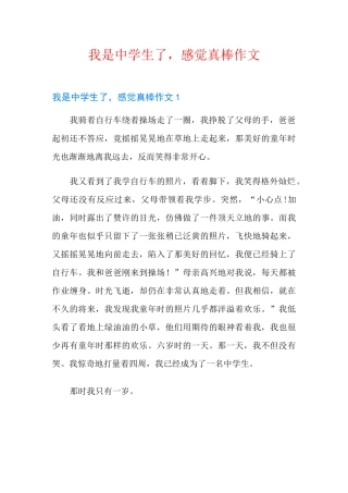 我是中学生了,感觉真棒作文