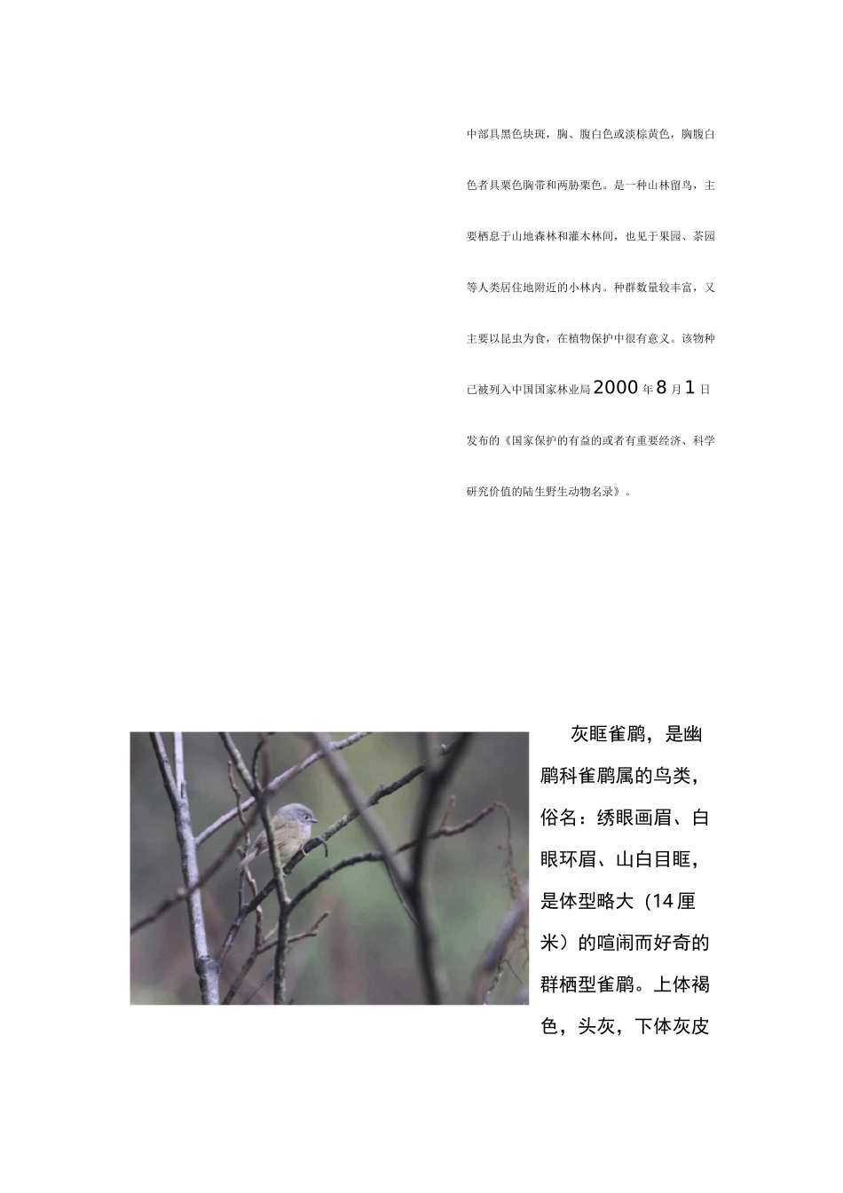 湿地公园鸟类简介_第2页