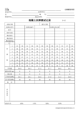 C30砼自动计算混凝土回弹测试记录