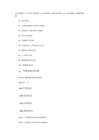 CAD2008快捷键大全