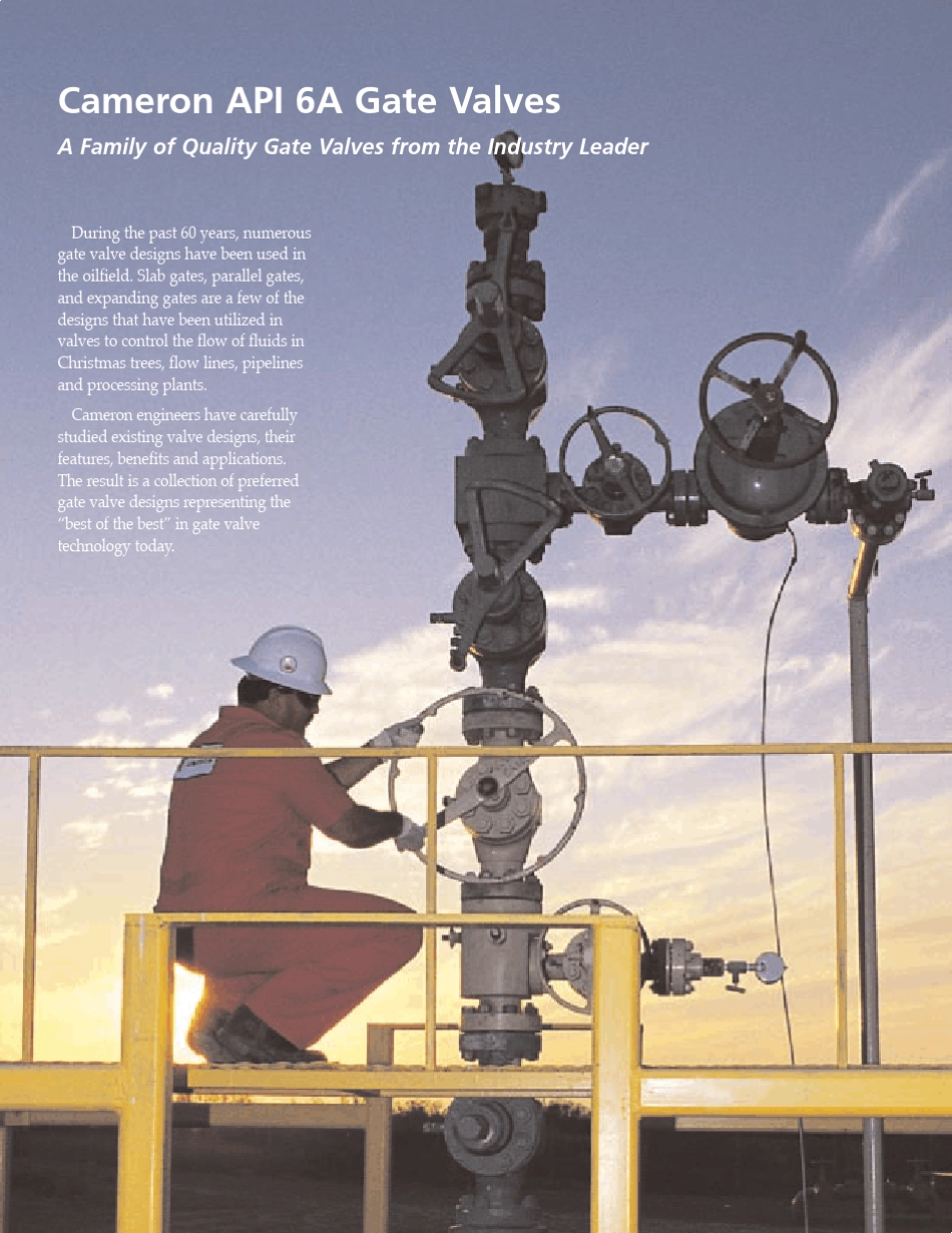 CAMERONAPIGATEVALVES_第2页