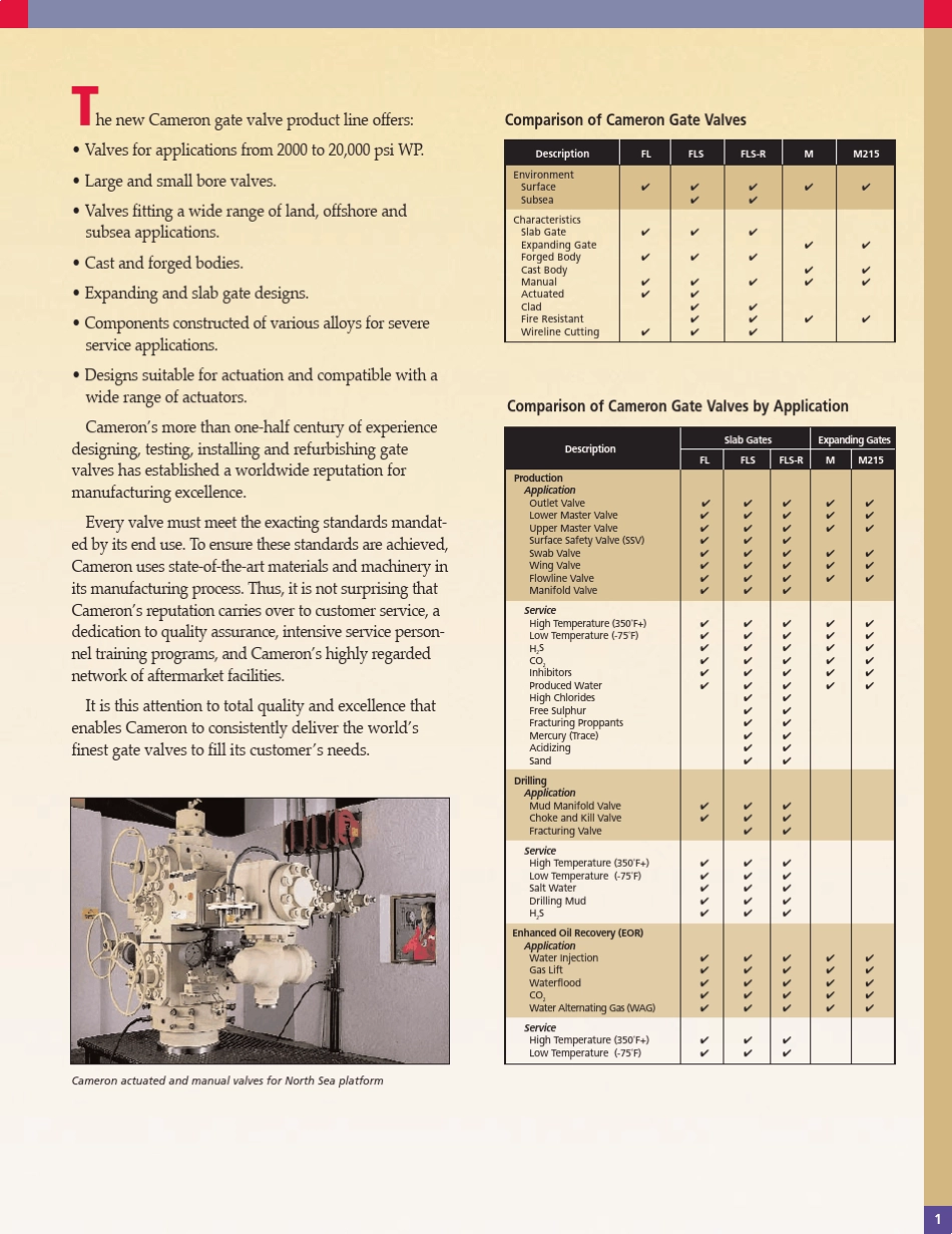 CAMERONAPIGATEVALVES_第3页