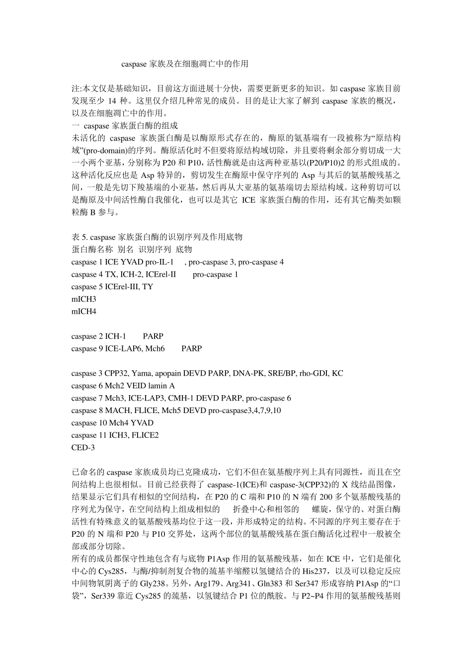 caspase家族_第1页