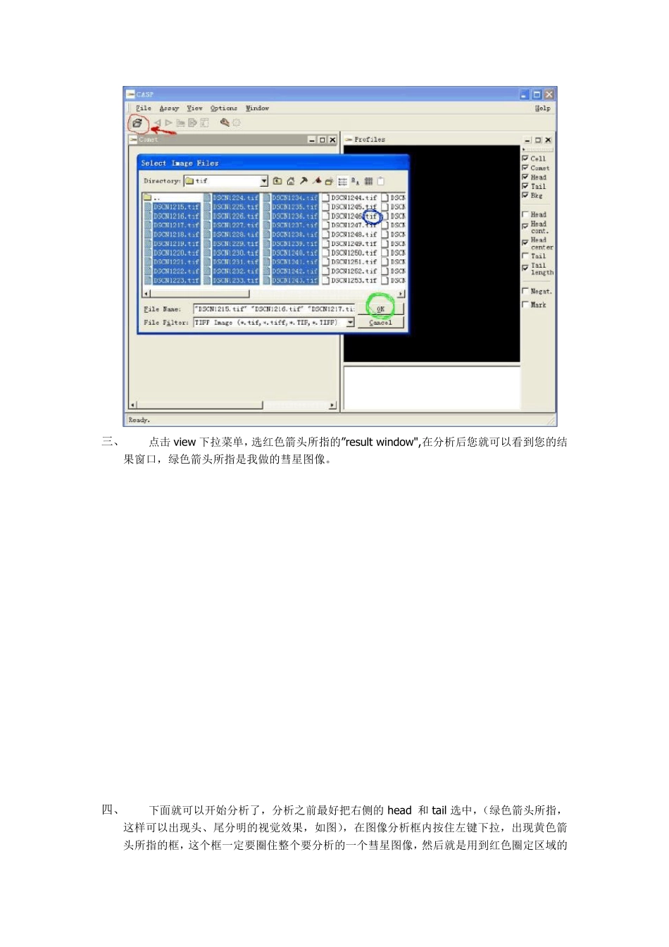 CASP软件操作图示(彗星分析软件)_第2页