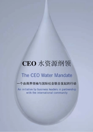 CEO水资源纲领