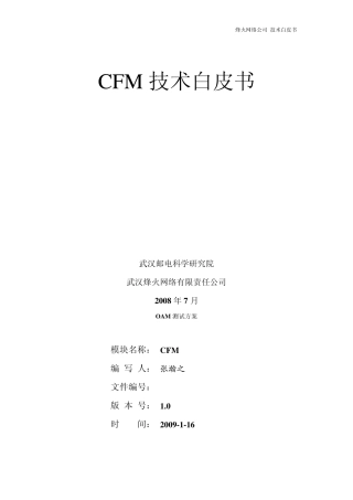 CFM技术白皮书