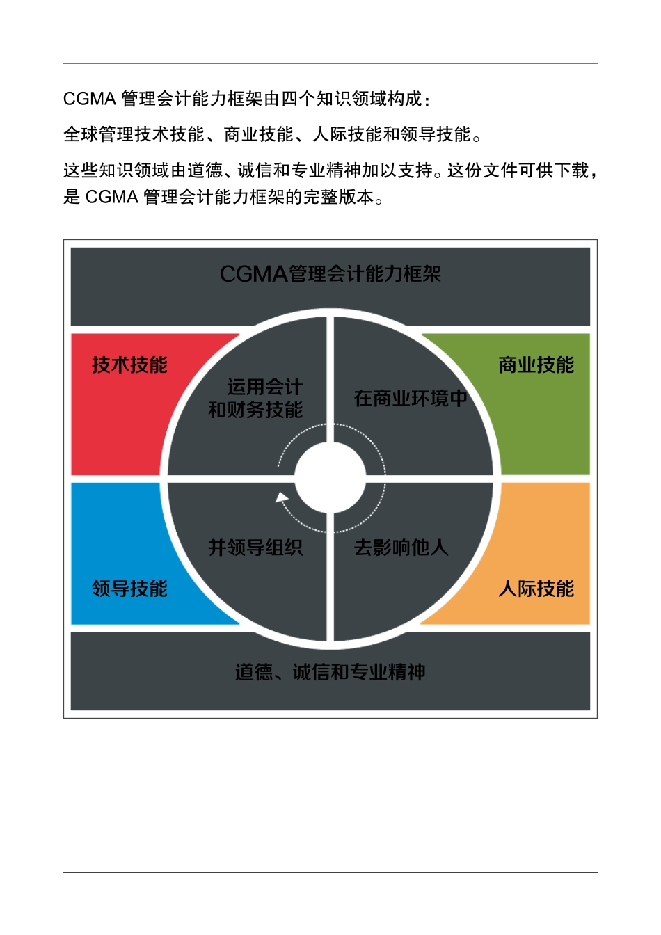 CGMA管理会计能力框架_第3页