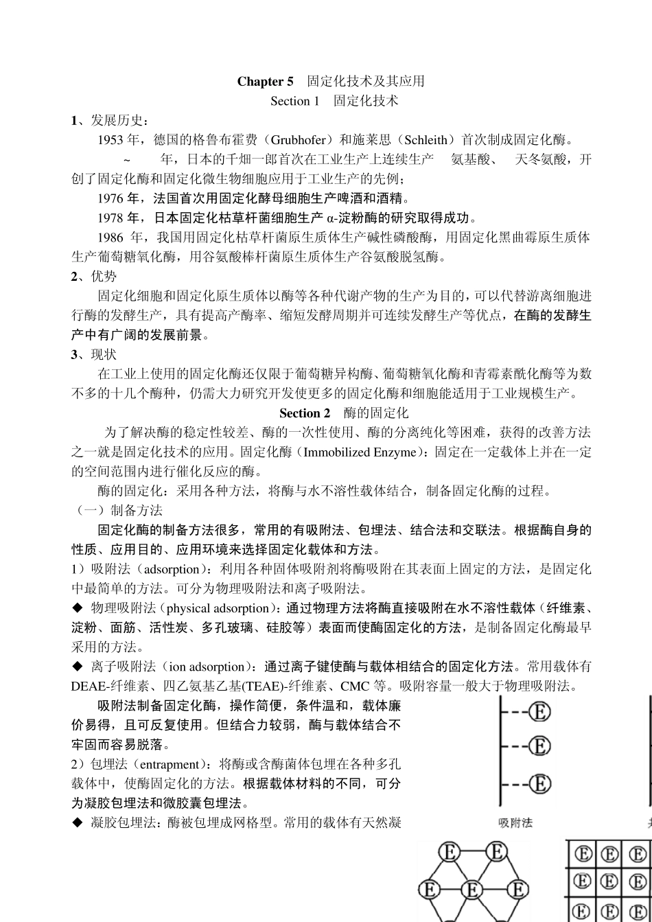 Chapter5固定化技术及其应用_第1页