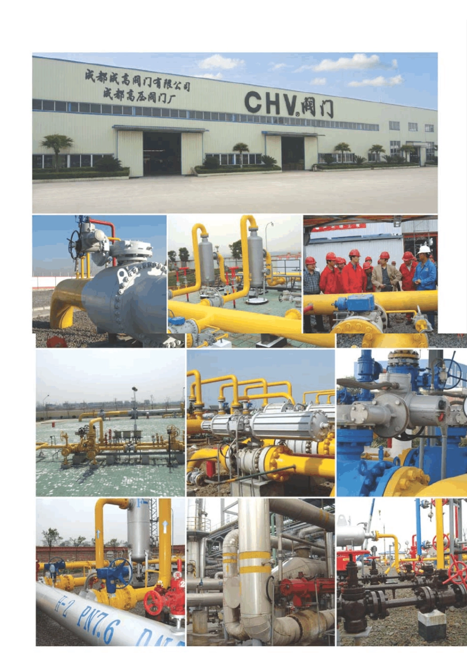 CHV成都成高铸钢阀门样本_第2页