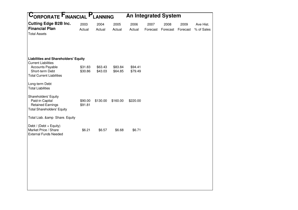 Ch财务管理以EXCEL为分析工具(表样)_14_Corp_Financial_Plan_第3页