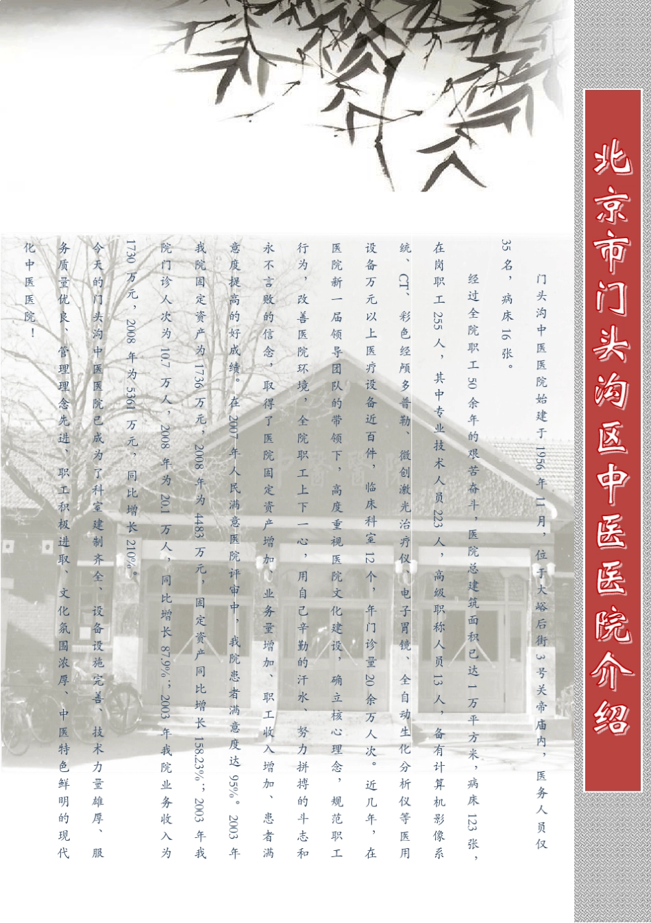 CIS策划方案_第3页