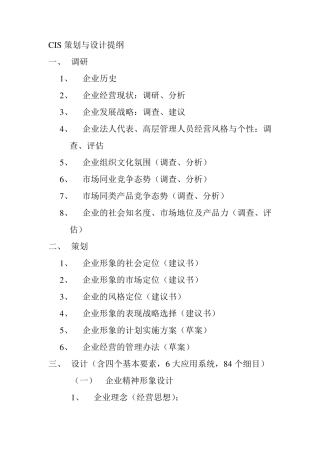 CIS策划模板