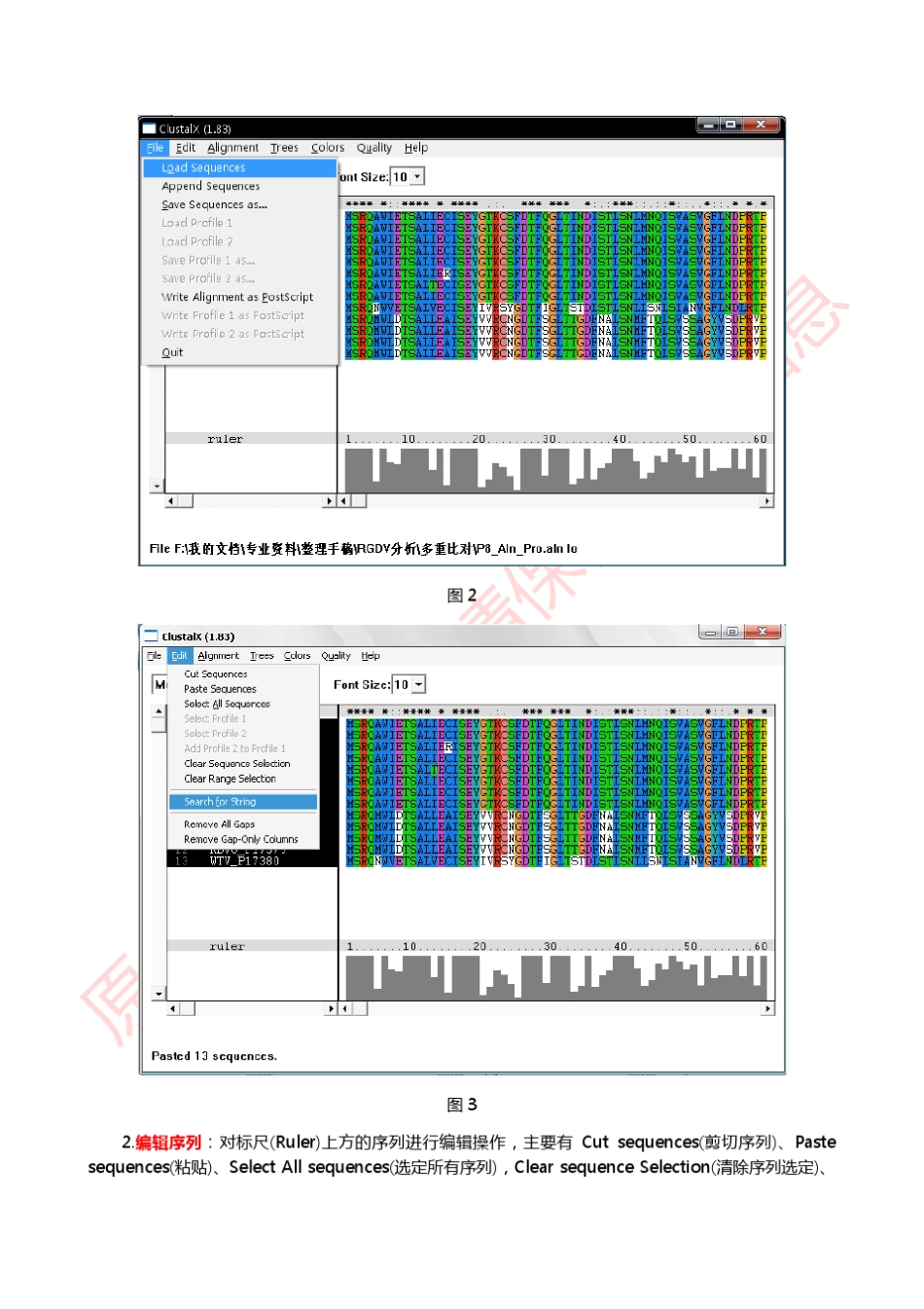 Clustalx多重序列比对图解教程by_raindy_第2页
