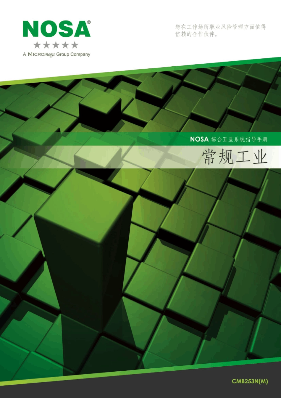 CMB253N(M)_NOSA手册最新版本_第1页