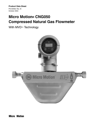 CNG050质量流量计