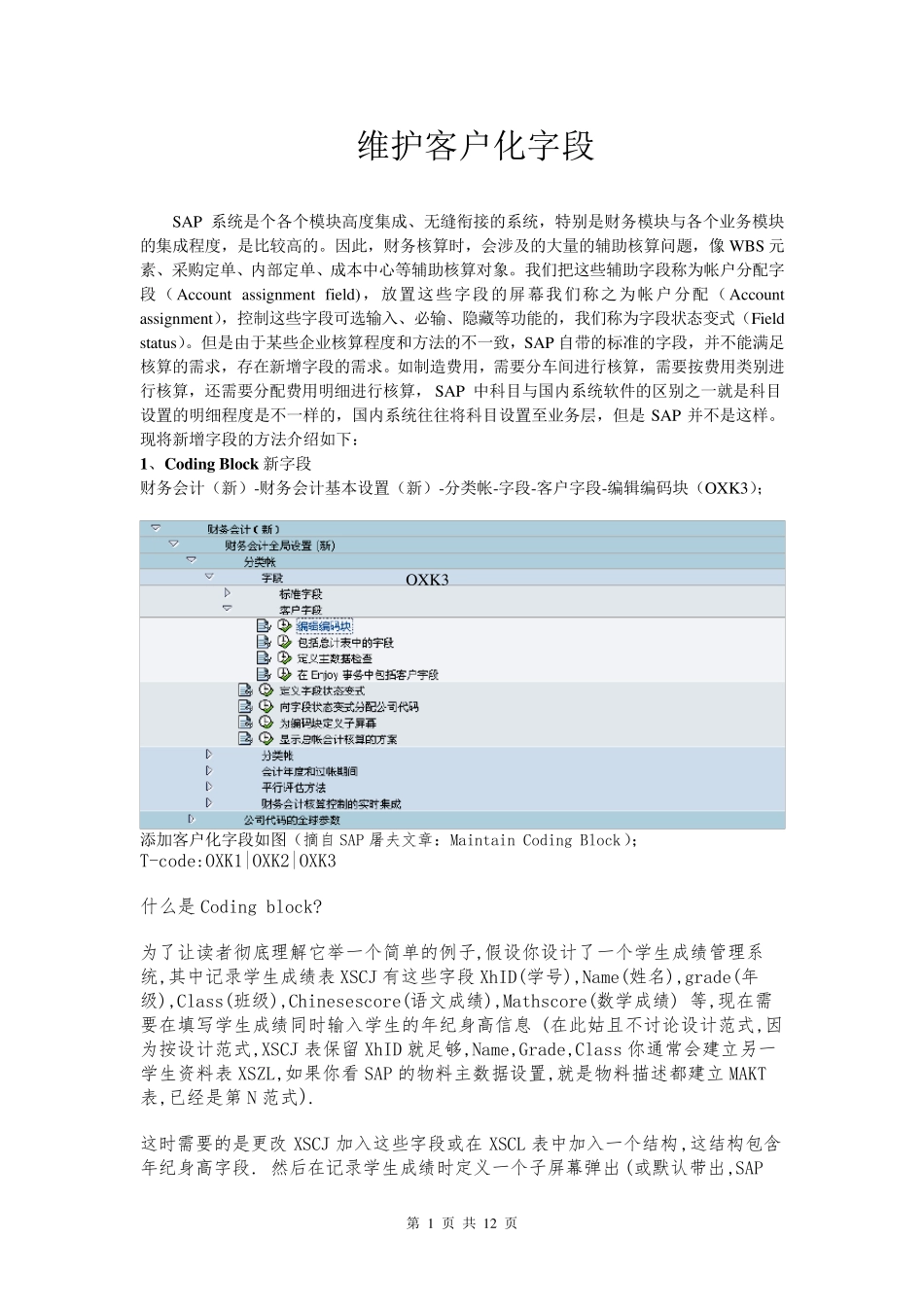 CodingBlock客户化自定义新字段(必读)_第1页