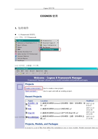 cognos使用手册