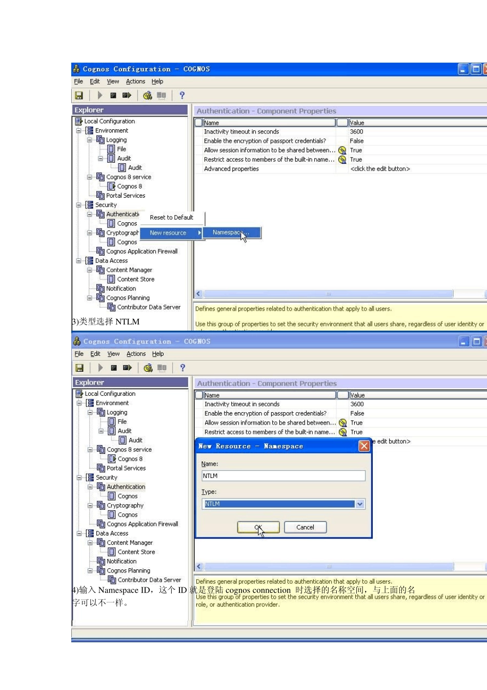 Cognos权限配置与管理总结_第2页