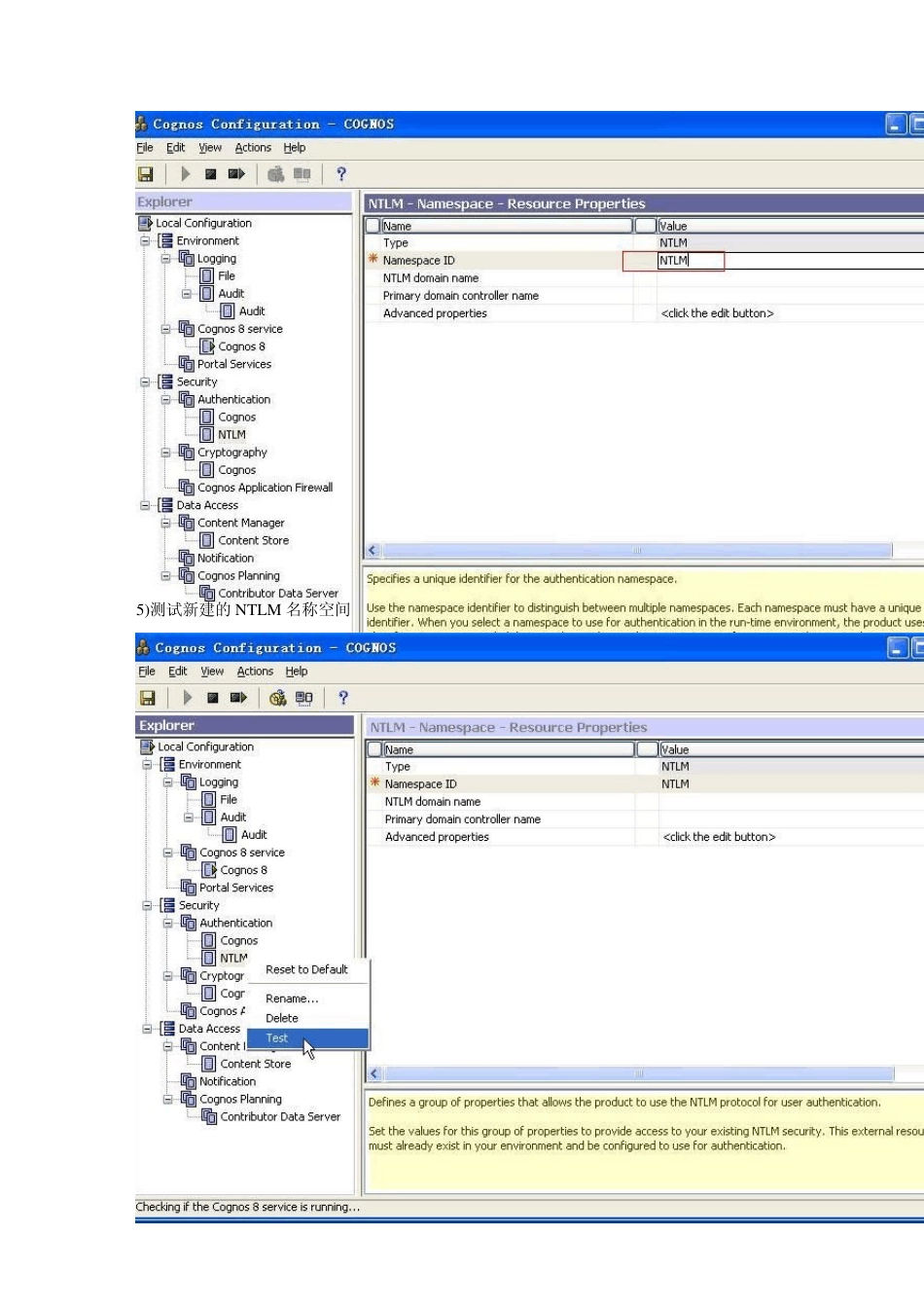 Cognos权限配置与管理总结_第3页