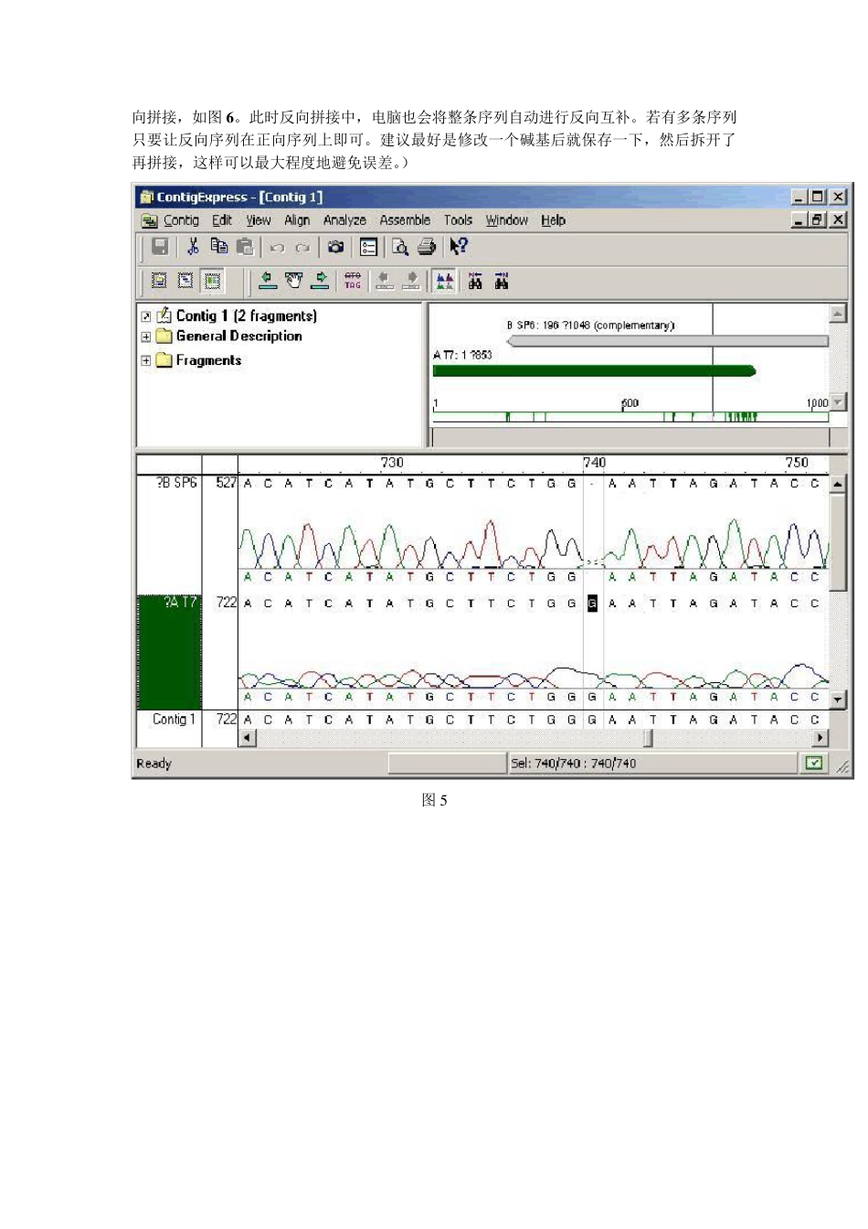 ContigExpress软件使用说明序列拼接_第3页
