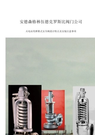 CROSBY安全阀技术特点