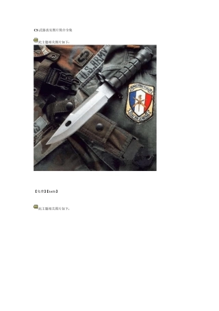 CS武器真实图片简介全集