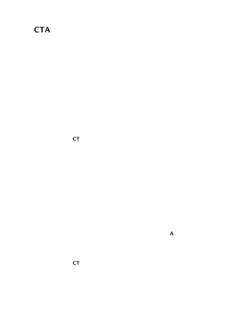 CTA报告模板