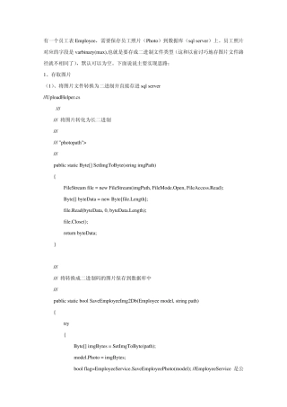 C存取二进制图片