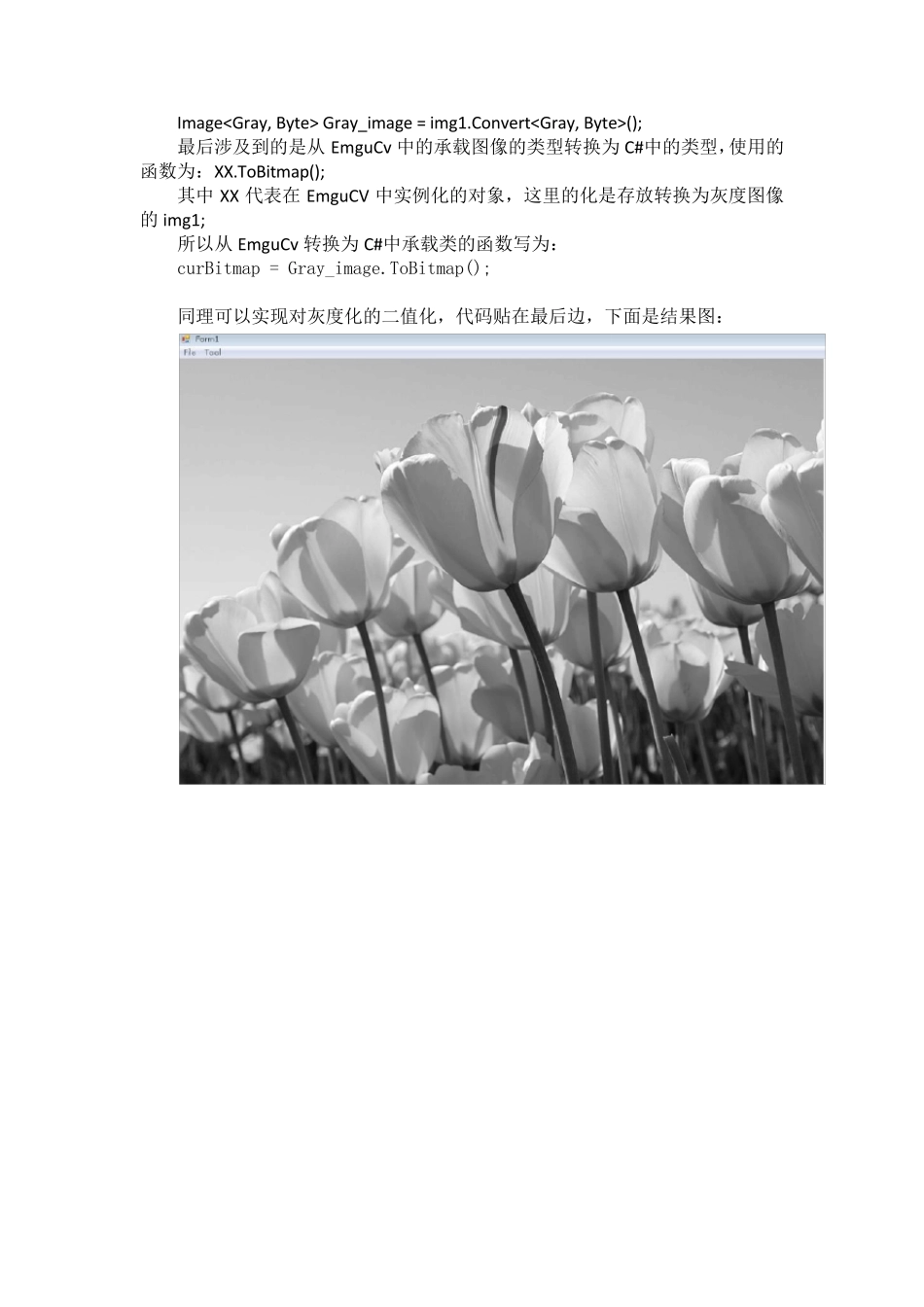 C结合EmguCv编程_第2页