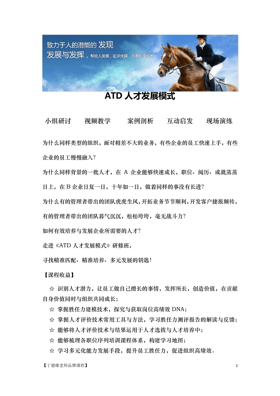 D01ATD人才发展模式_第1页