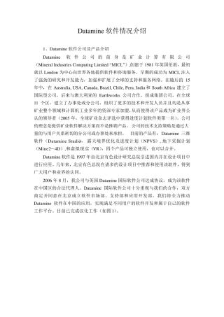 Datamine软件简介