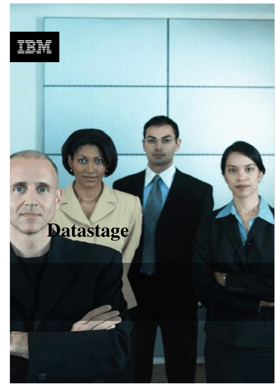 DataStage白皮书_第1页