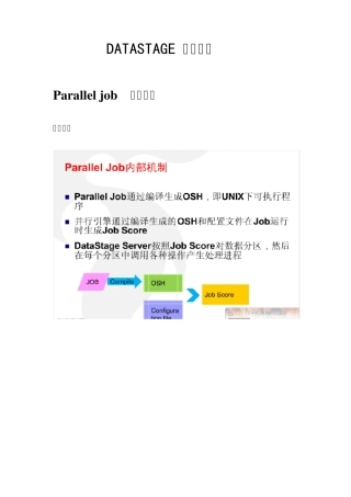 DATASTAGE高级教程