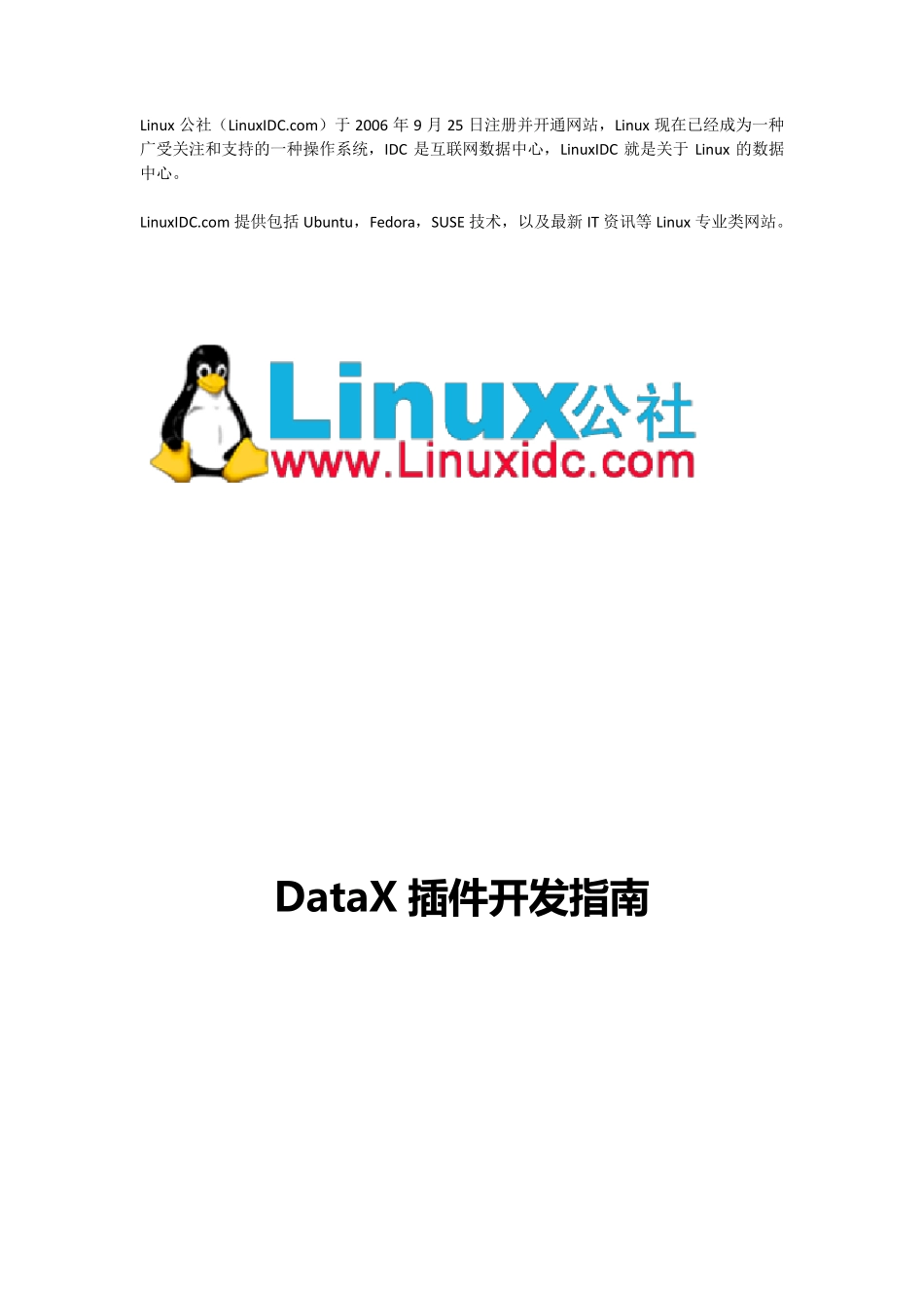 DataX插件开发指南_第1页