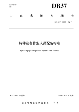 DB37T3080—2017山东省特种设备人员配备标准