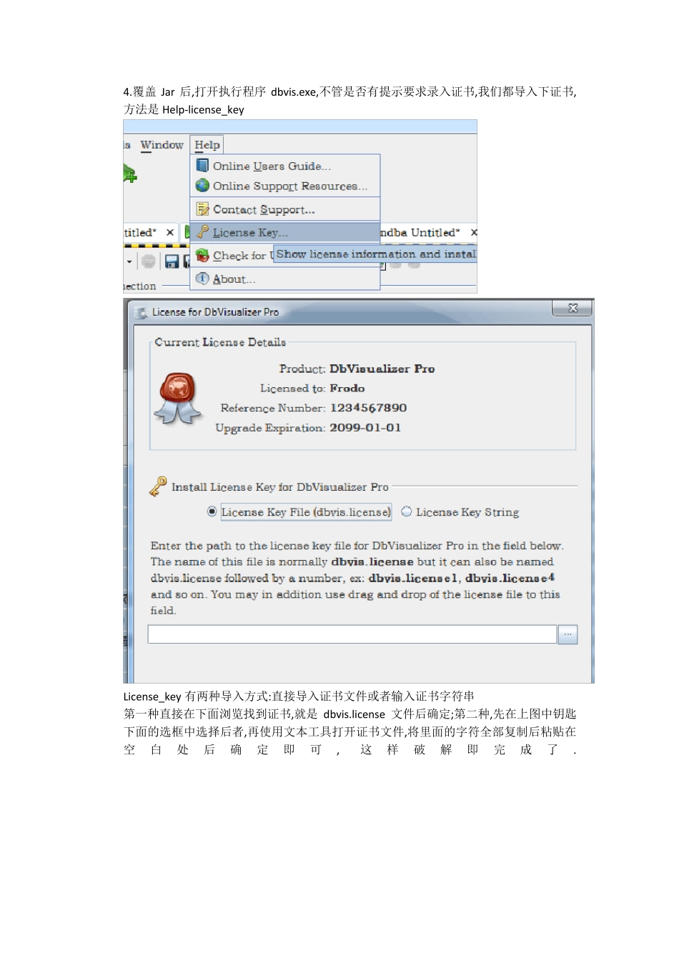 DBVisualizer使用教程_第3页