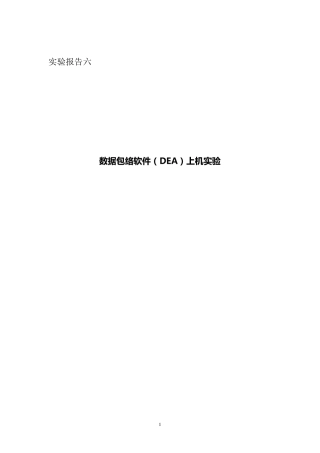 DEA实验报告