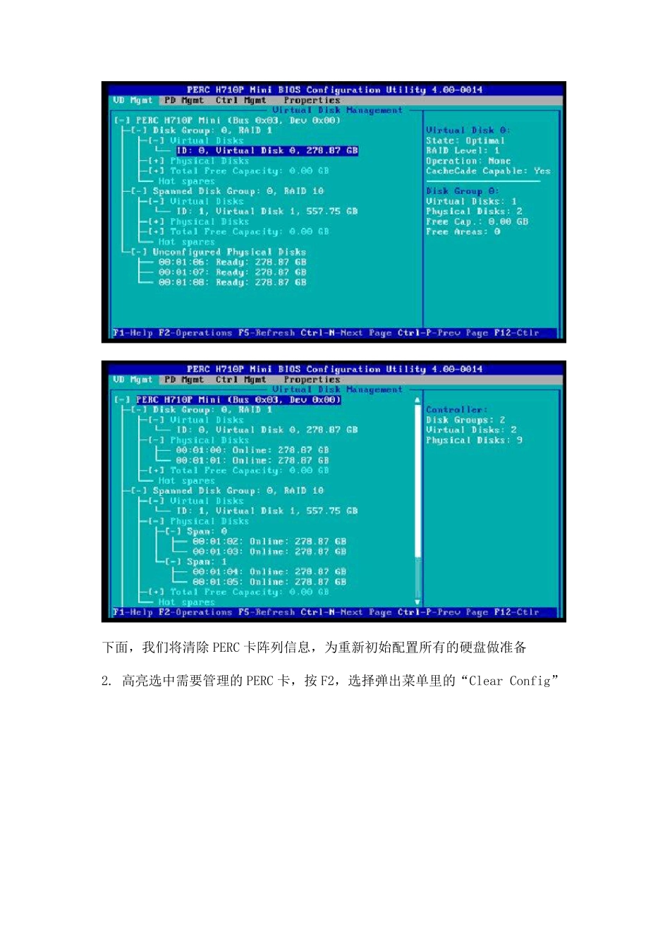 DELLR620RAID阵列创建_第2页