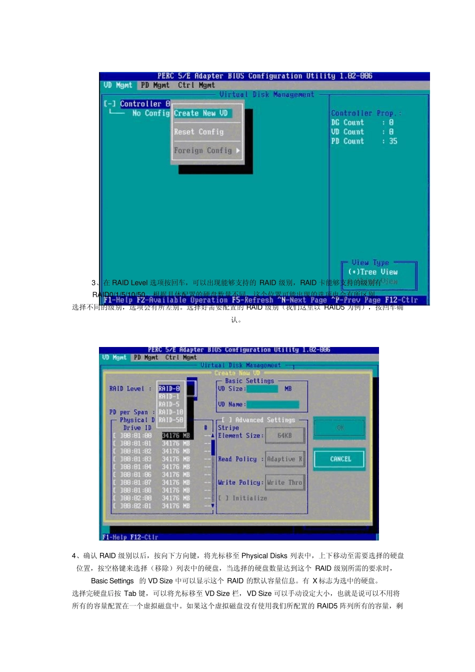 DELLR710RAID配置_第2页
