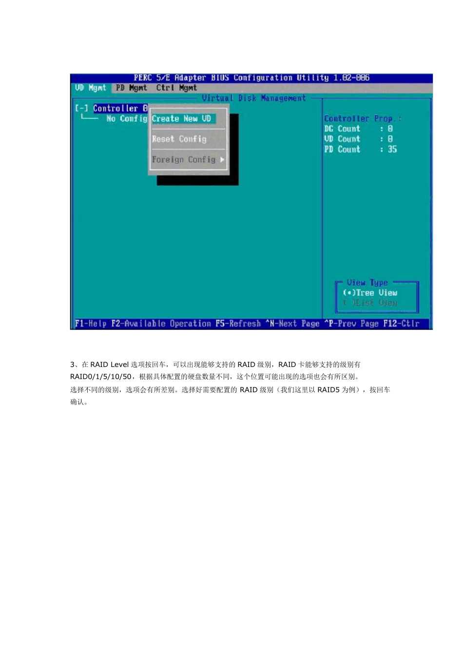 DELLraid配置+热备_第2页
