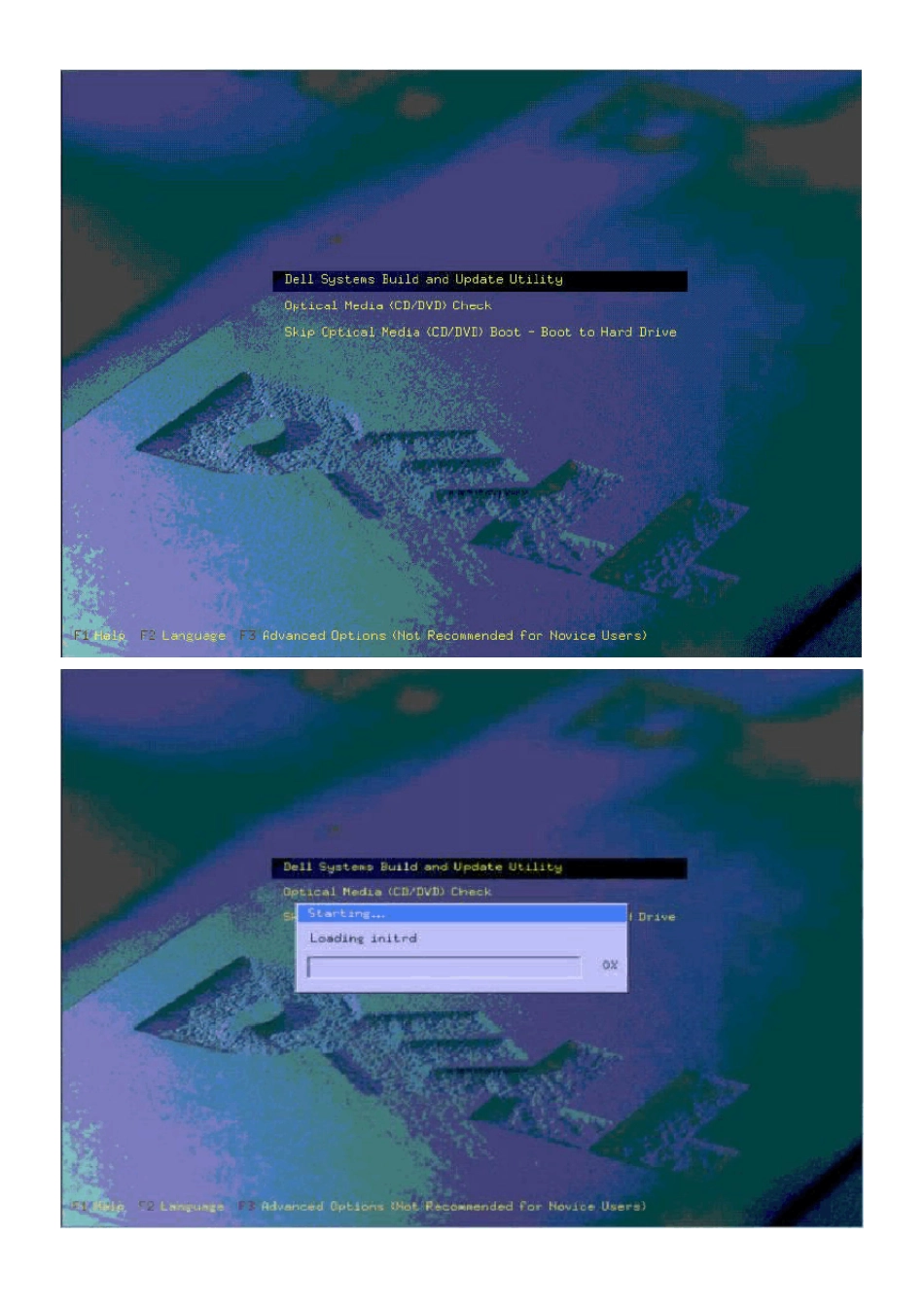 dellT110_window2008服务器的系统安装_第2页