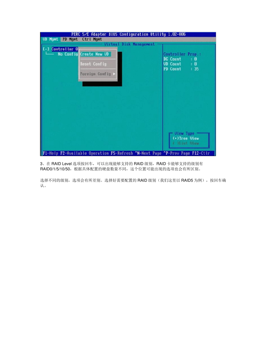 DELL服务器+RAID配置详细中文手册_第2页