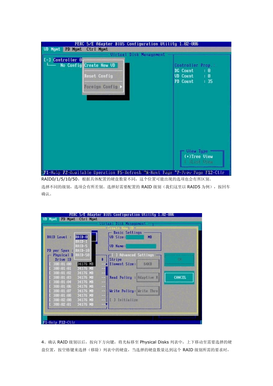 dell服务器RAID配置1_第2页