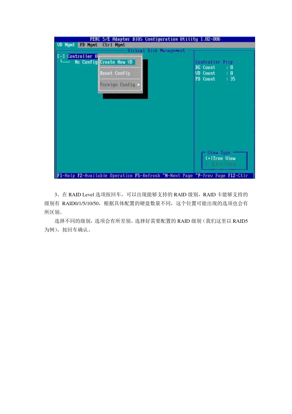 DELL服务器RAID配置详细教程_第2页