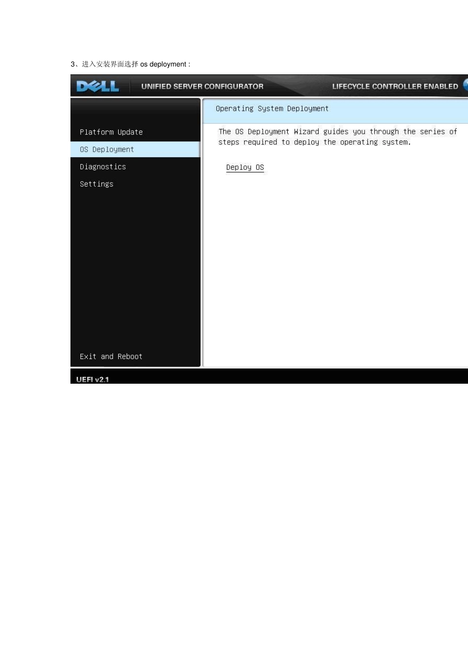 DELL服务器安装linux系统_第2页
