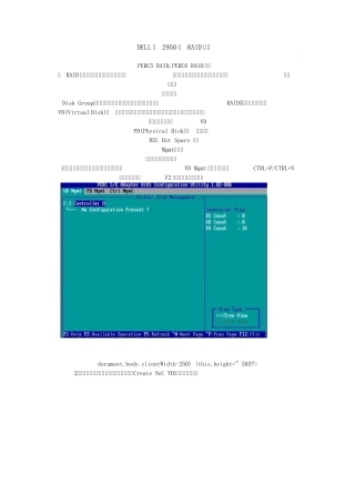 DELL的2950的RAID制作