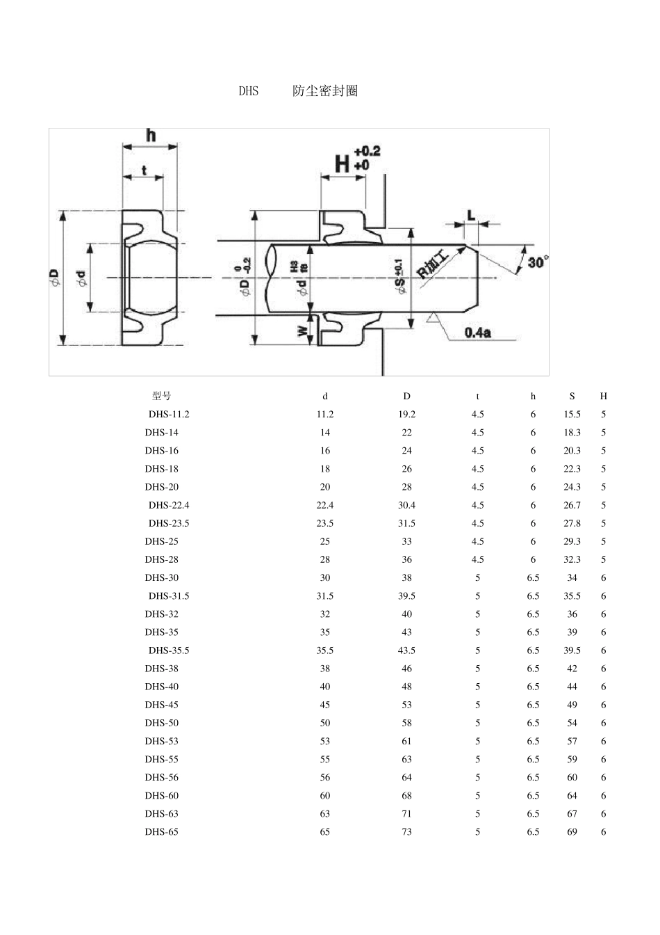 DHS密封圈_第1页