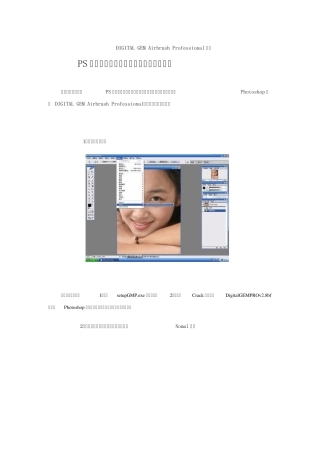 DIGITALGEMAirbrushProfessional教程