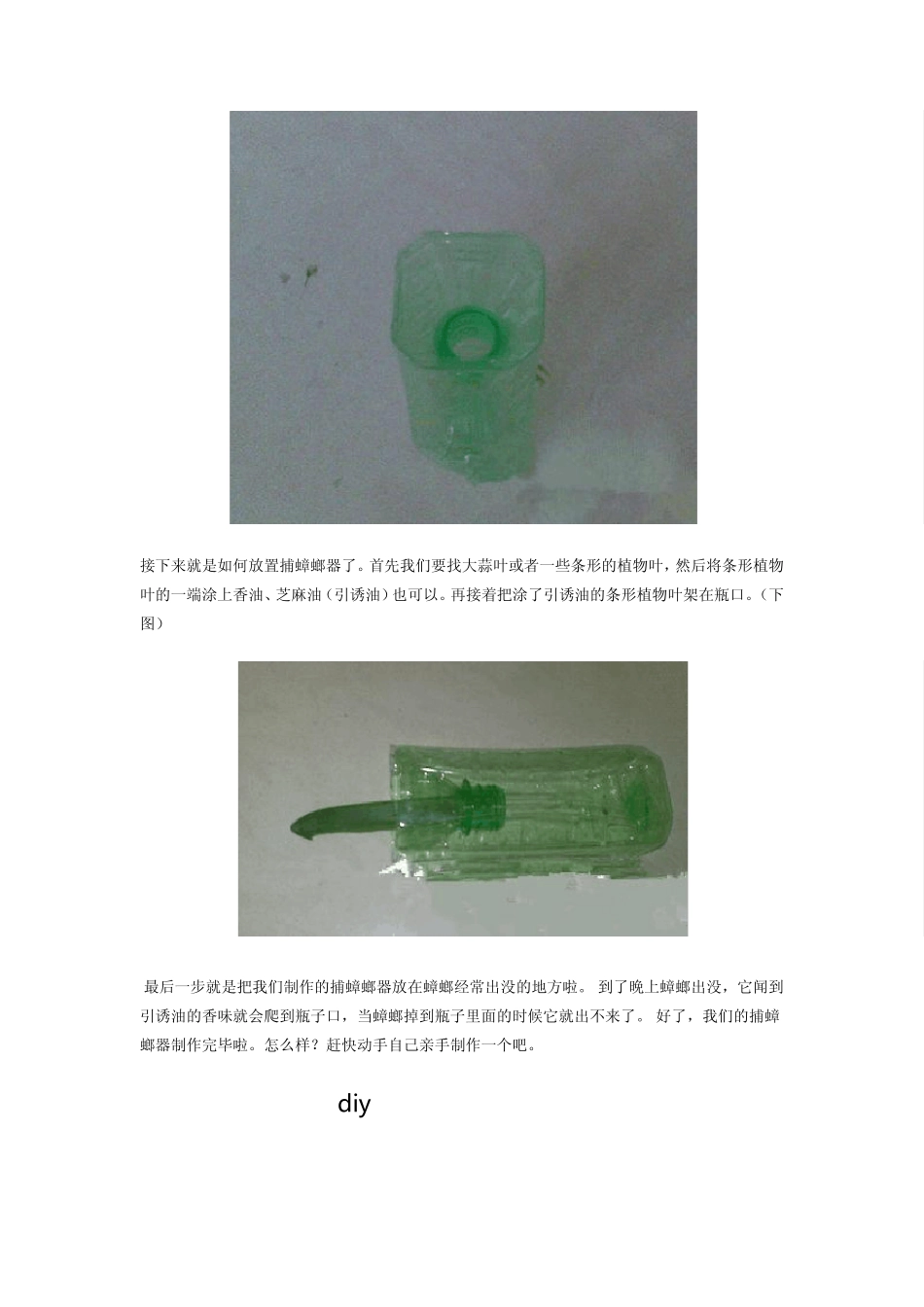 diy塑料瓶改造捕蟑螂器_第2页